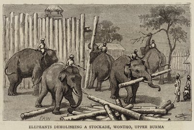 Éléphants démolissant une palissade, Wontho, Haute-Birmanie - Harry Hamilton Johnston